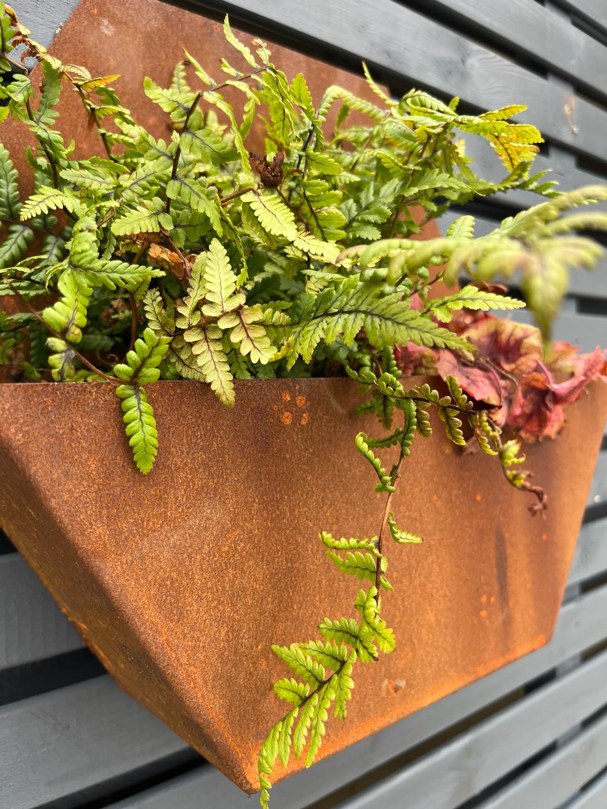 Corten Steel Hexagon Wall Mounted Planter 300mm