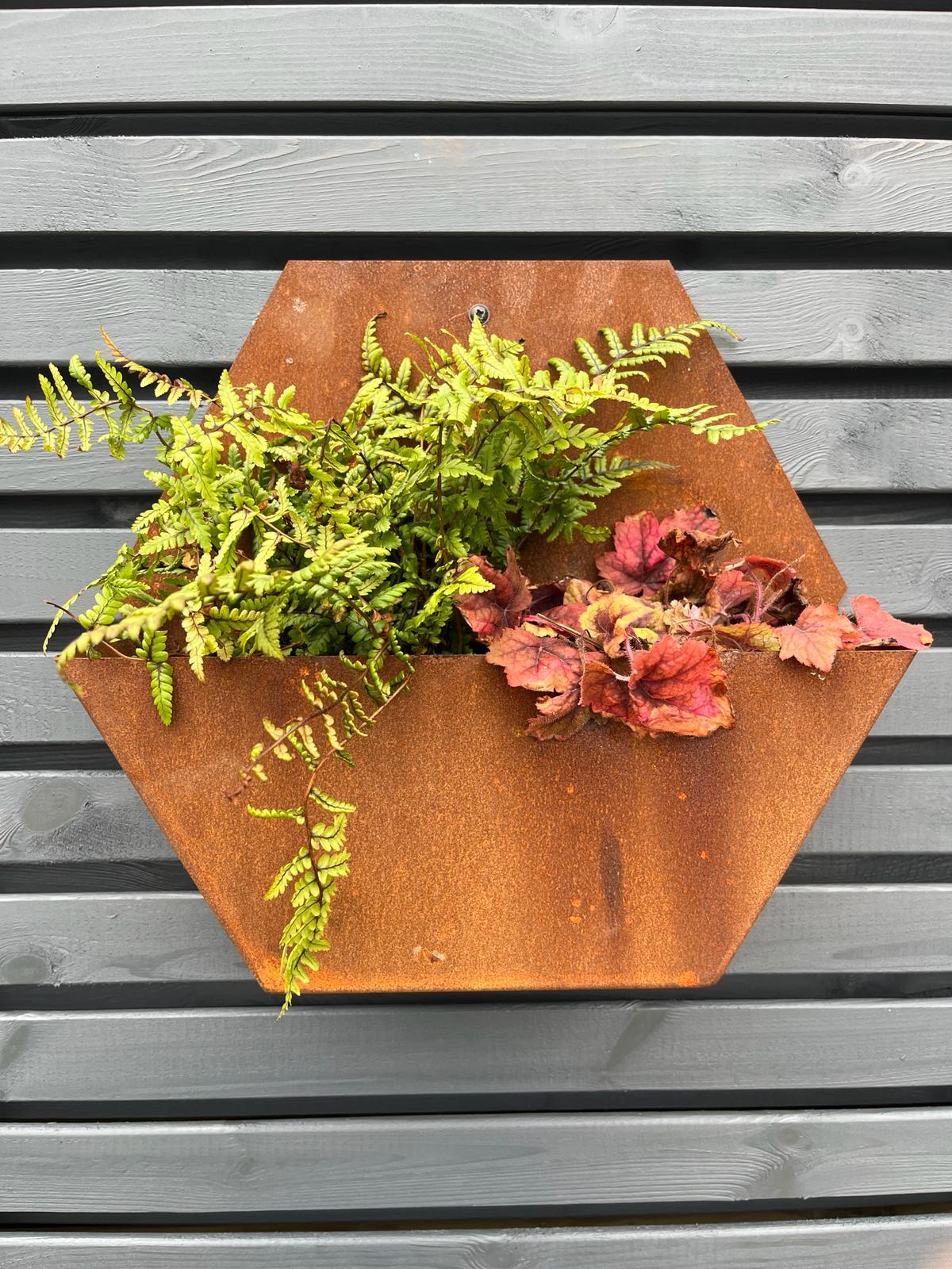 Corten Steel Hexagon Wall Mounted Planter 300mm